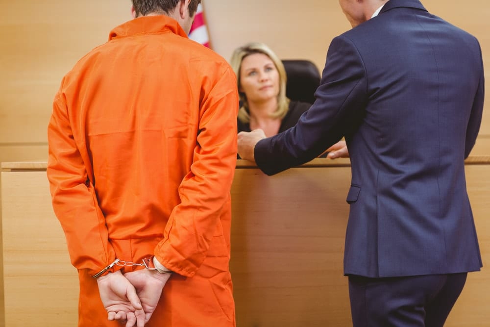 What Risks Are Associated With The Insanity Defense Pleading Insanity